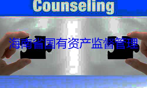 资产监督管海南省国有理委员会党查调查有福接受审委副书记王